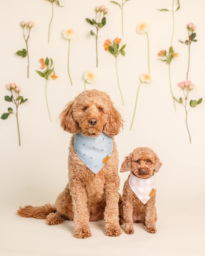 Remy+Roo Small Spring Dog Bandanas - Image 2