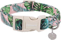 DOGWONG Cotton Dog Collar, Heavy-Duty Dog Collar Durable Soft Boy Dog Collar by DOGWONG