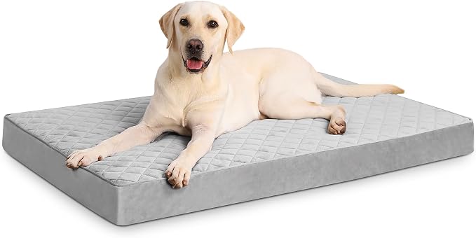 Orthopedic Dog Beds for Small Dogs Waterproof - Image 2