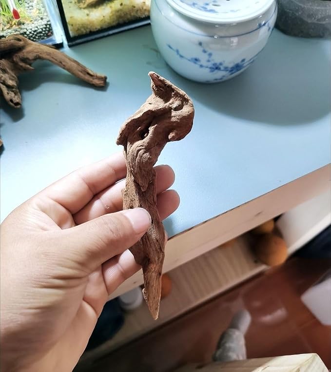Small Natural Driftwood for Aquarium Styling Carefully Selected Natural - Image 6