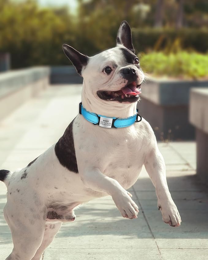 TagME Samll Dog Collars, Adjustable Reflective Nylon Pet Collar - Image 2
