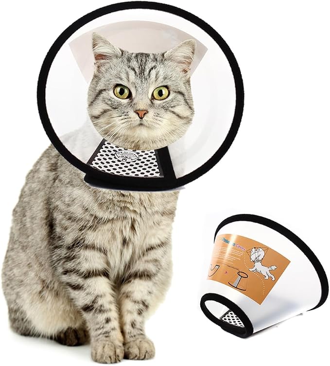 Plastic Pet Recovery Collars & Cones by QIYADIN