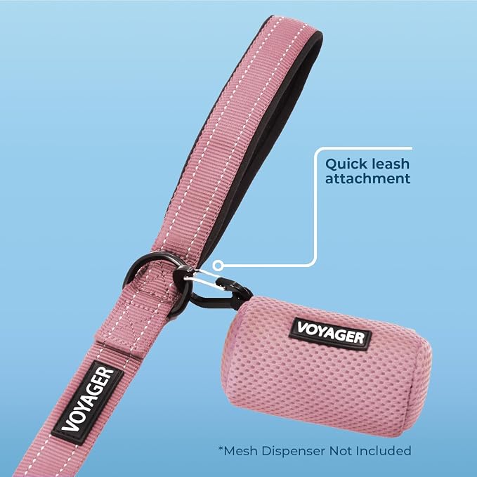 Best Pet Supplies Voyager Reflective Dog Leash or Collar - Image 3