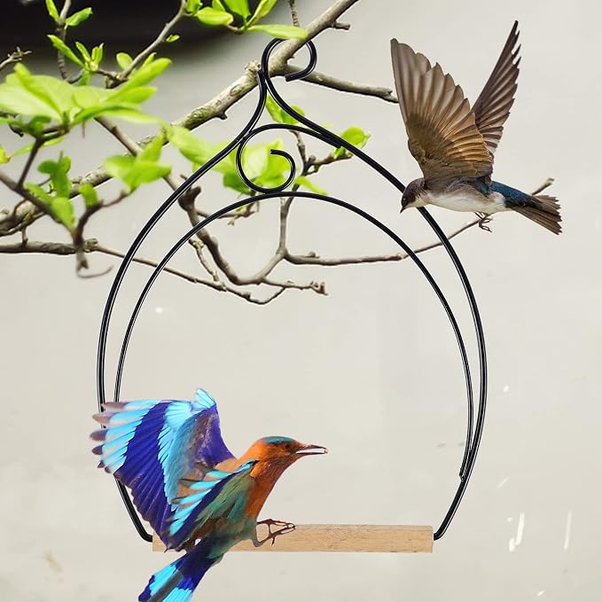 winemana Set of 3 Hummingbird Swings, Rust Resistant Metal Frame, Wooden Dowel - Image 5