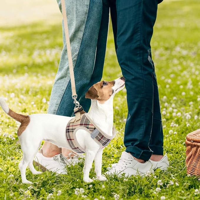 PUPTECK Adjustable Pet Harness Collar &Leash Set Step in - Image 8