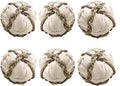 SunGrow Assorted Rabbit & Cat Chew Balls, Teething Activity Toy by SunGrow