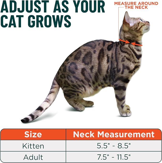 OutdoorBengal Red Cat Collar Breakaway - Image 5