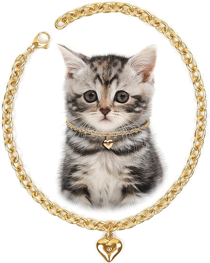 HOWWFALY Dog Collar and Cat Chain Necklace Stainless Steel Adjustable 18K Gold by HOWWFALY