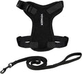 Voyager Escape-Proof Step-in Lock Cat Harness & 5ft Neoprene-Handle Leash Set by BestPetSuppliesLLC