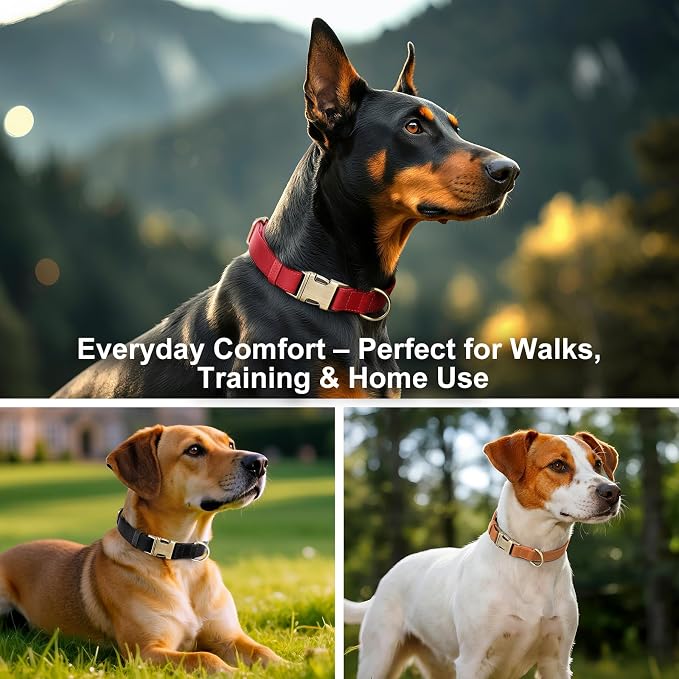 Plutus Pet Genuine Leather Dog Collar – Adjustable Pet Collar - Image 6