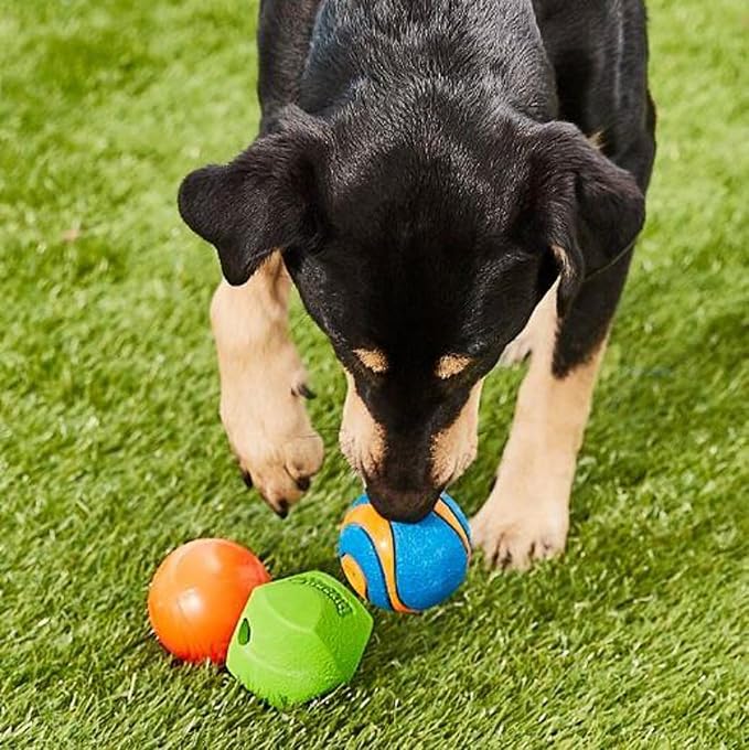 Chuckit! Fetch Pack Dog Ball Dog Toys, Medium Pack of 3, - Image 2