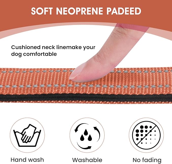 Reflective Dog Collar Padded - Image 3