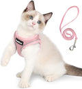 PetiFine Extra Small Step in Dog Harness and Leash Set, Cat Harness and Leash by PetiFine