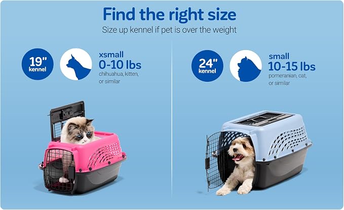 Petmate Dog Crates for Small Dogs & Cat Carriers, Two-Door Plastic Pet Kennel - Image 4