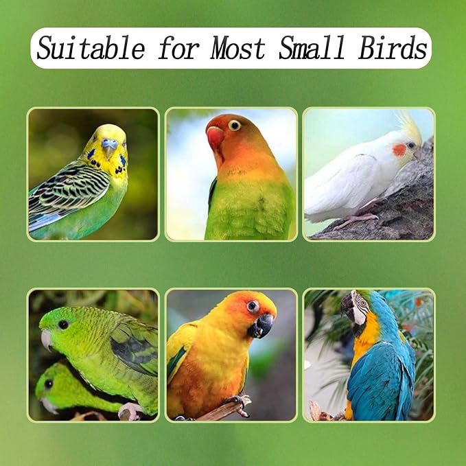 No Mess Bird Feeder for Cage, Automatic Acrylic Bird Feeder Seed Catcher Tray - Image 4