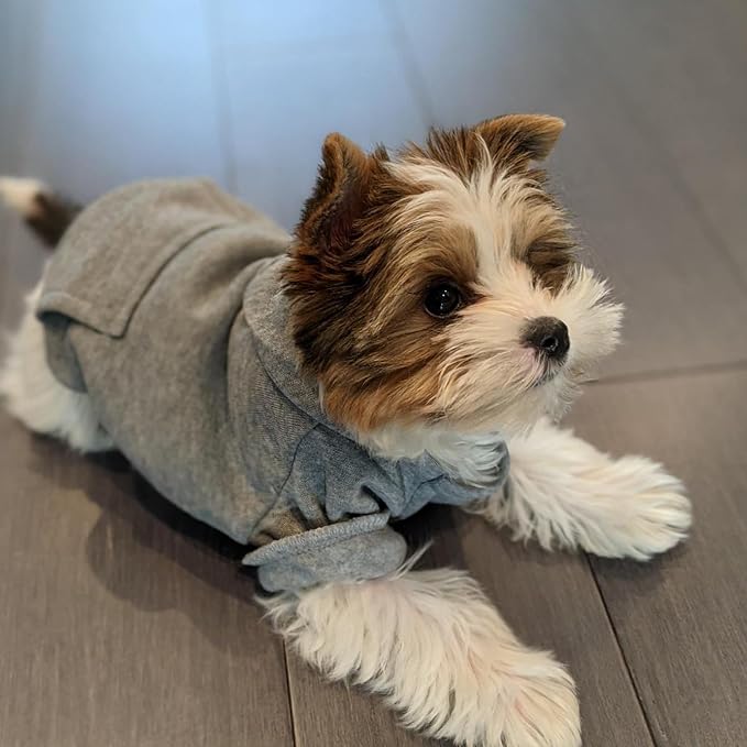 Jecikelon Winter Dog Hoodie Sweatshirts - Image 2