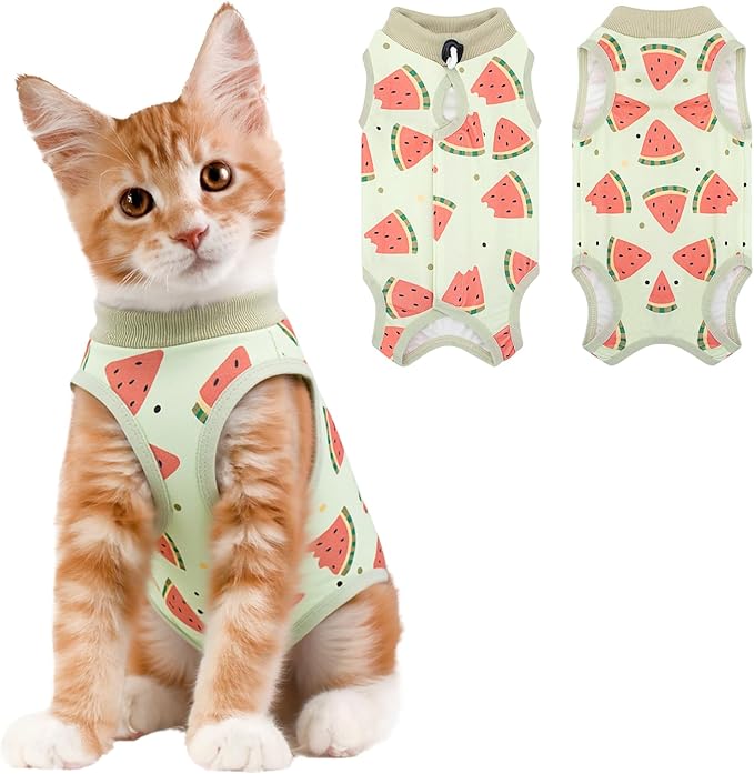 Coppthinktu Cat Recovery Suit Female, Breathable Cat Onesie After Surgery Female by Coppthinktu