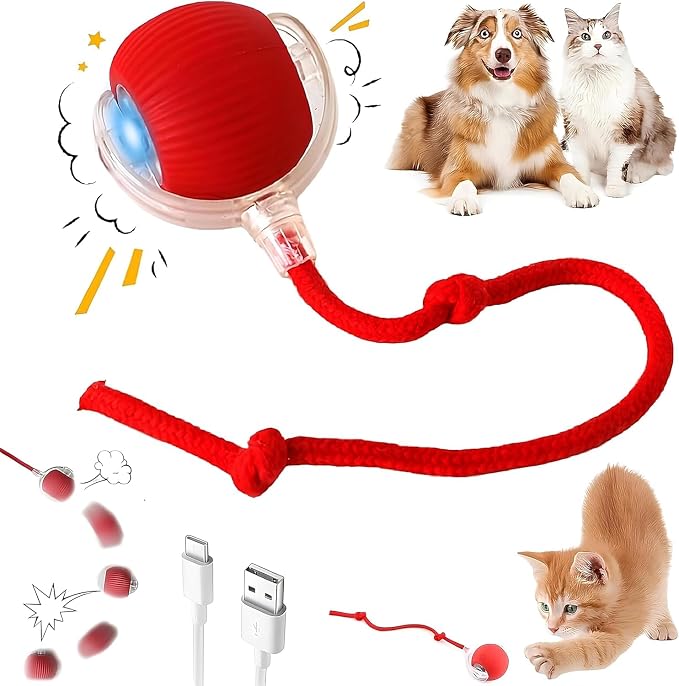 Interactive Electric Automatic Rolling Moving USB Rechargeable Self Activated by Unknown
