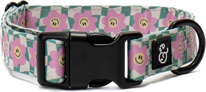 Lucy & Co. Making Rainbows, Cute Reversible Dog Harness Walking Halter by LucyCo