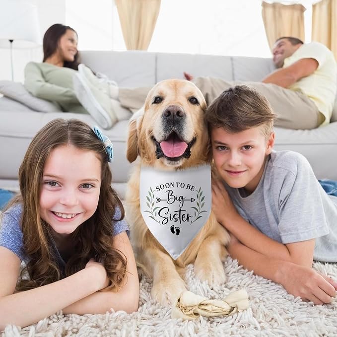 Soon to Be Big Sister Dog Bandana Baby Announcement Dog Gender Reveal Outfit - Image 4