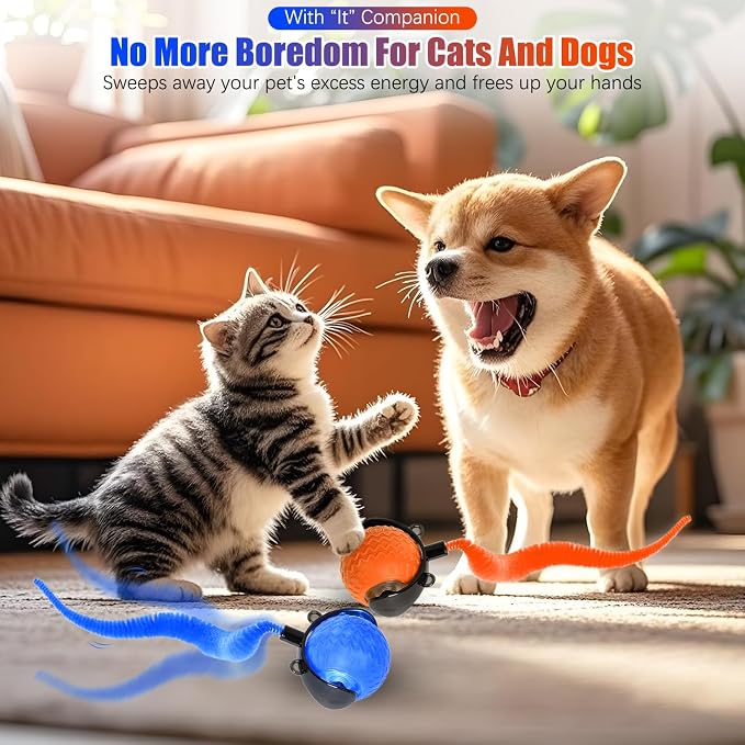 2PCS Interactive Cat Toy for Indoor Cats, Speedy Ball - Image 2