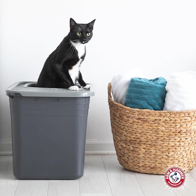 Arm & Hammer Premium Top Entry Litter Box - Image 4