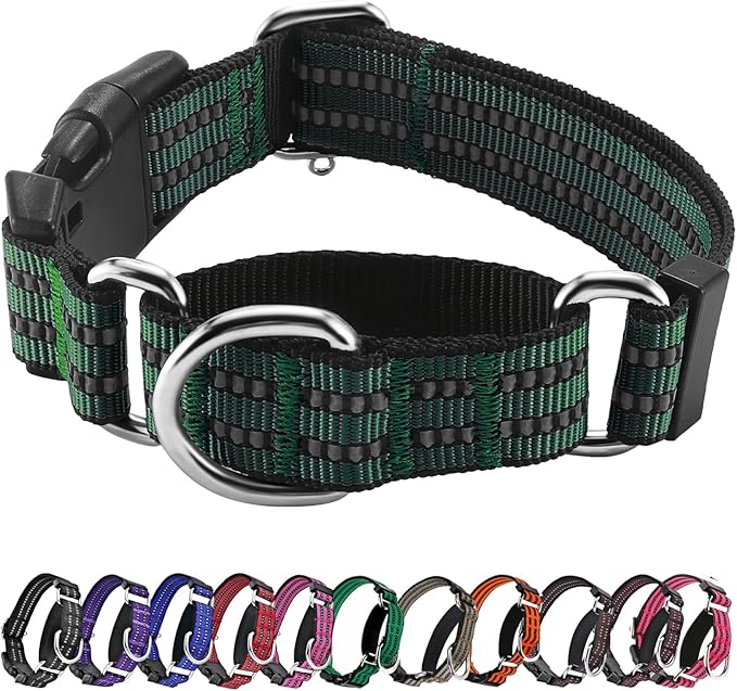 Hikiko Martingale Dog Collars Reflective Nylon Dog Collar by Hikiko
