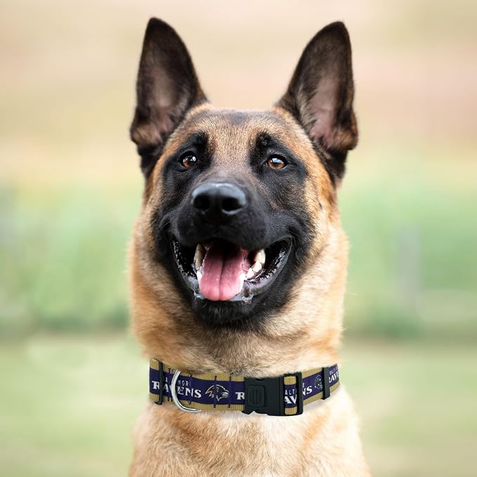 New & Improved Pets First NFL Licensed PET Collar- Heavy-Duty, and Durable New - Image 3