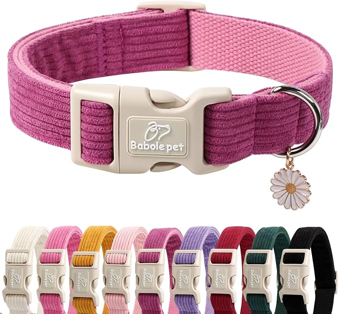Cute Corduroy Dog Collar by Babolepet