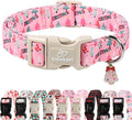 Christmas Dog Collar for Small Dogs by Babolepet