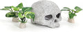 Fish Aquarium Decorations Cave Hide by Vtapliea