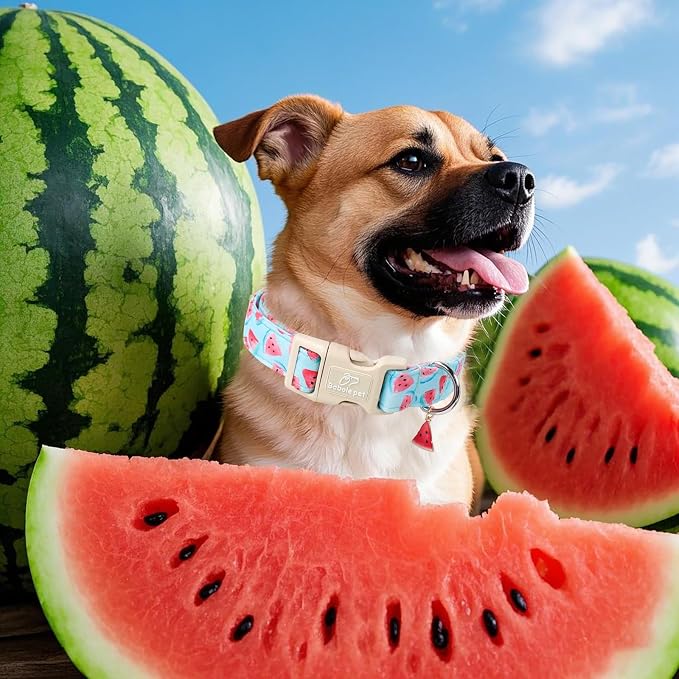 Adjustable Summer Dog Collar, Cute Watermelon Dog Collars - Image 3