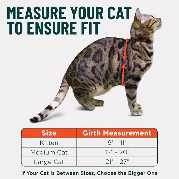 Houdini™ Escape Proof Cat Harness and Leash Set by OutdoorBengal – Black - Image 5