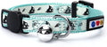 Pawtitas Glow in The Dark Cat Collar by Pawtitas