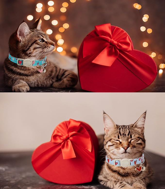 Cat Collar, 2 Pack Cat Collars Breakaway - Image 5