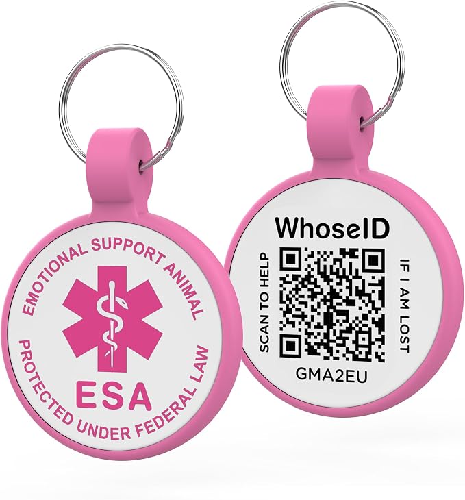 QR Code Dog Tag, QR Code Pet ID Tag, Dog ID Tag, Small Cat by WhoseID