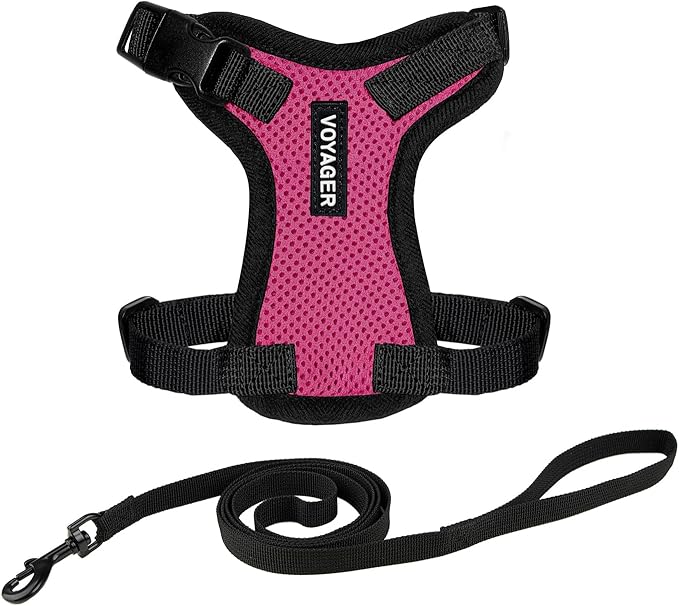 Voyager Escape-Proof Step-in Lock Cat Harness & 5ft Neoprene-Handle Leash Set by BestPetSuppliesLLC