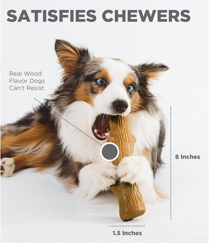 Pupstages Dogwood Dog Chew Toy – Real-Wood Blend, Natural Flavor & Texture - Image 4
