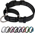 Martingale Dog Collar, Adjustable Nylon Reflective Collar by JOYEEIIOO