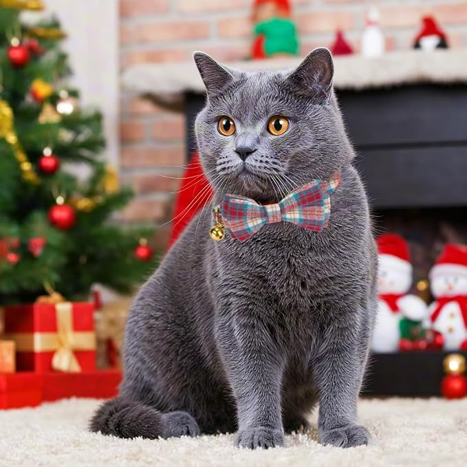 2 Pack Soft Cotton Cat Collars - Image 5
