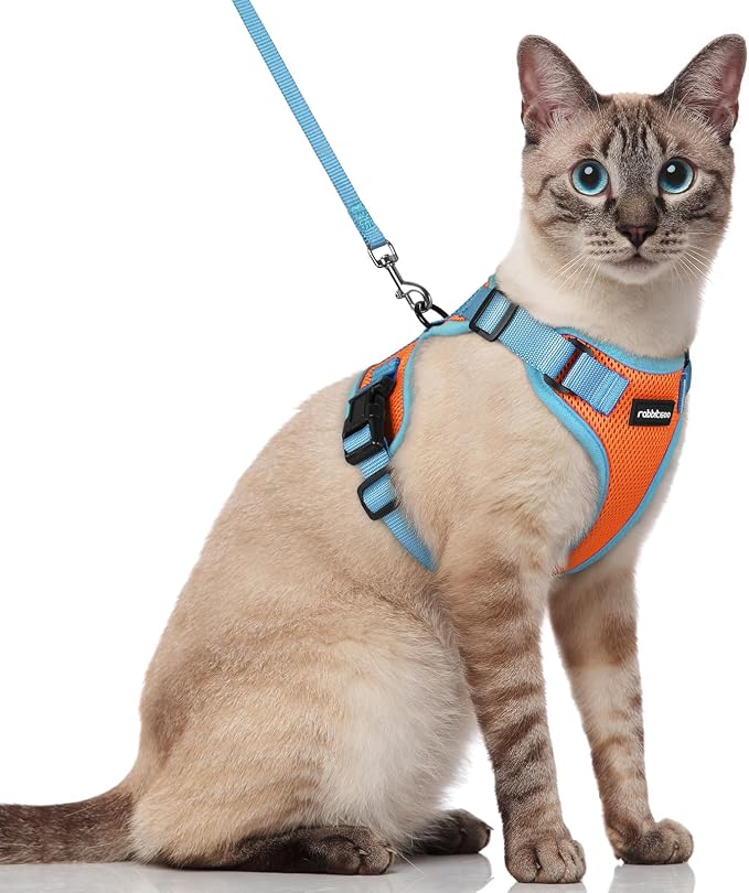 rabbitgoo Cat Harness and Leash Set, Escape Proof Soft Adjustable Vest Harnesses by rabbitgoo