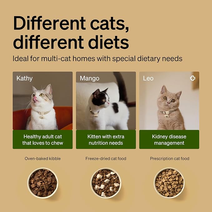 PETLIBRO RFID Cat Feeders for 2 Cats, Collar Sensor for Personalized Meals - Image 5