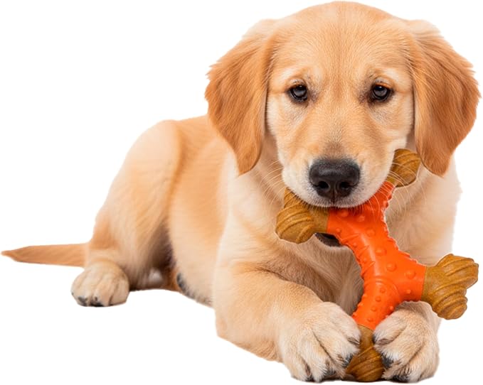 SPOT Bam-Bones Dental X-Bone - Image 7