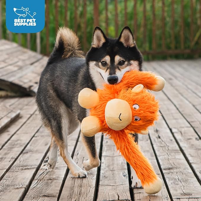 Best Pet Supplies Interactive Squeaky Dog Chew Toy, Ideal Dog Toys - Image 5