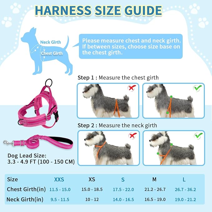 SlowTon No Pull Small Dog Harness and Leash Set, Puppy Soft Vest Harness Neck & - Image 5