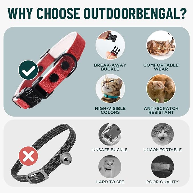 OutdoorBengal Orange Breakaway Kitten Collar - Image 3