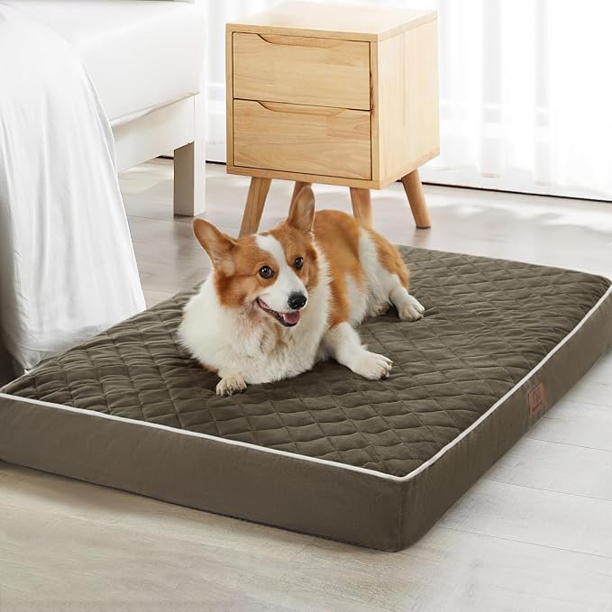WNPETHOME Orthopedic Dog Bed Medium Size Dog, Waterproof Medium Dogs Bed by WNPETHOMEPETSHOME