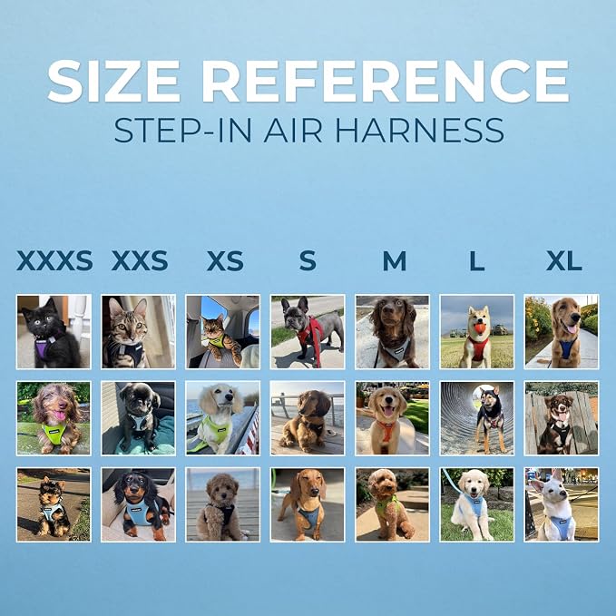 Best Pet Supplies Voyager Step-in Air All Weather Mesh Harness and Reflective - Image 6