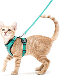 rabbitgoo Cat Harness and Leash by rabbitgoo