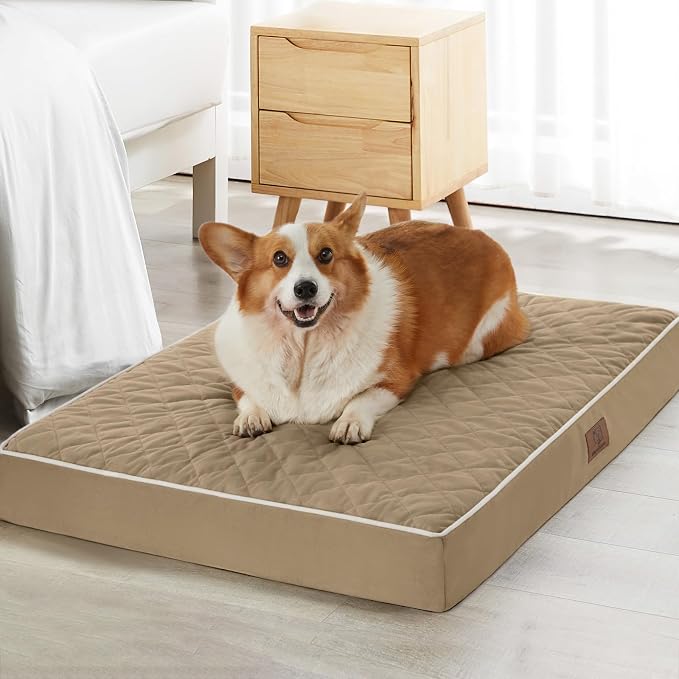 WNPETHOME Orthopedic XXL Dog Beds Large Sized Dog, Waterproof Extra Large Dogs by WNPETHOMEPETSHOME